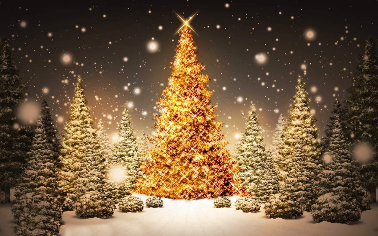 Edizioni MILLE per Natale al Cortile del Maglio e alla Mostra del Libro di Cavallermaggiore